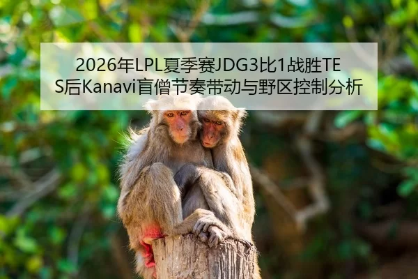 2026年LPL夏季赛JDG3比1战胜TES后Kanavi盲僧节奏带动与野区控制分析